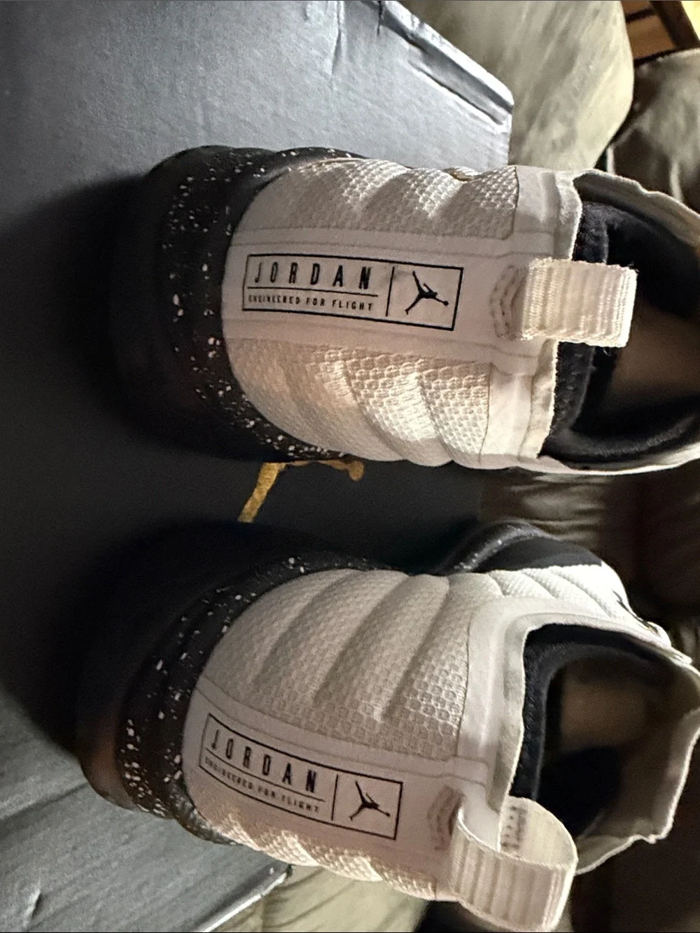 Jordan 12 Trainer Prime